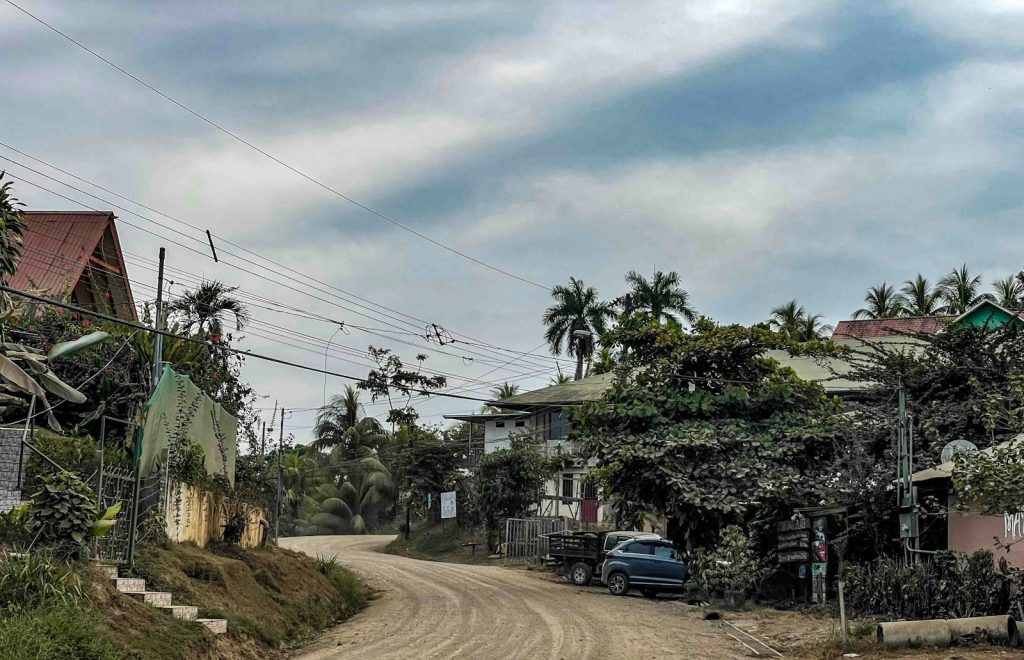 A car driving down a dirt road next to palm trees